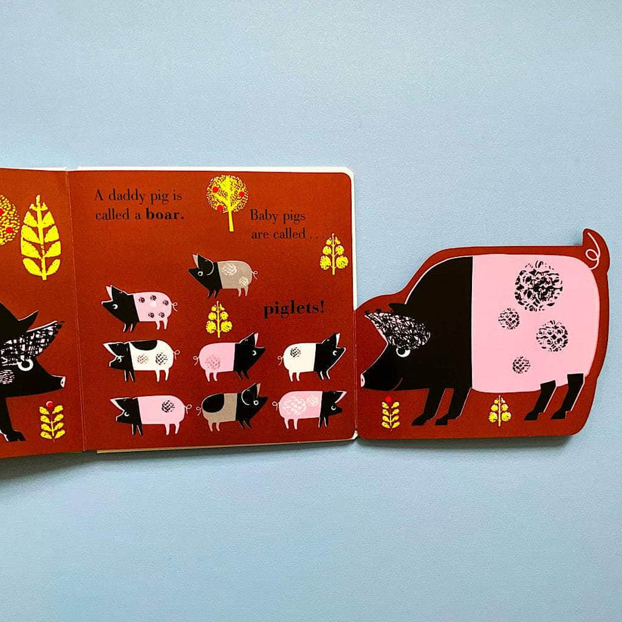 Farm Animals Baby Gift Set-Rattles & Board Book Animal Gifts Estella 