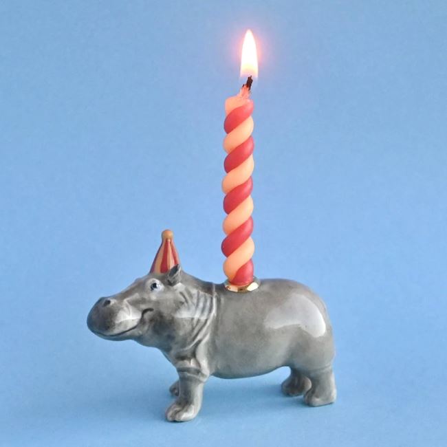 Porcelain Cake Toppers Home Camp Hollow Hippo 