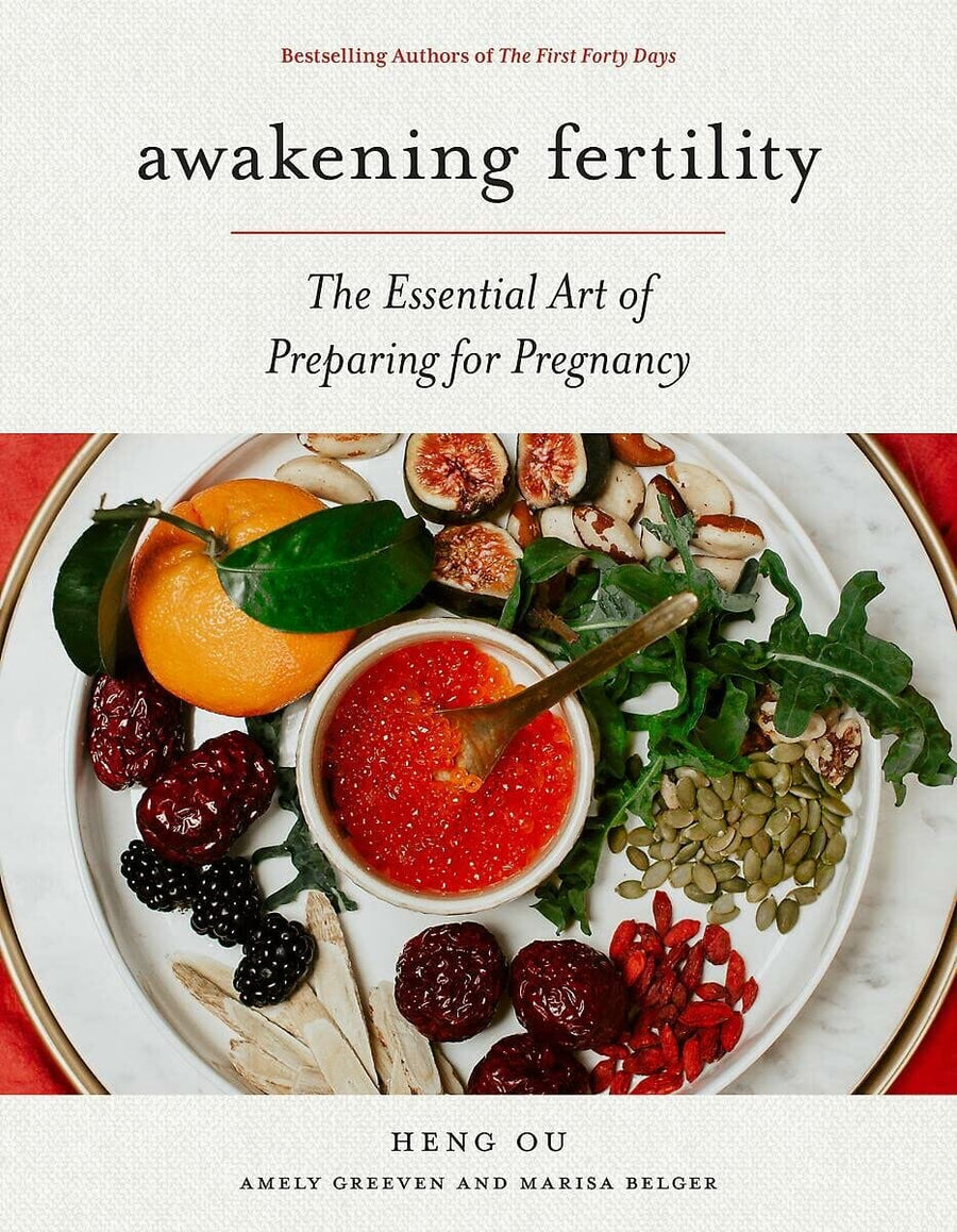 Awakening Fertility: The Essential Art of Preparing for Pregnancy Home Vivid Chill 