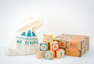 Classic ABC Blocks Mini Chill Mr. Dendro 