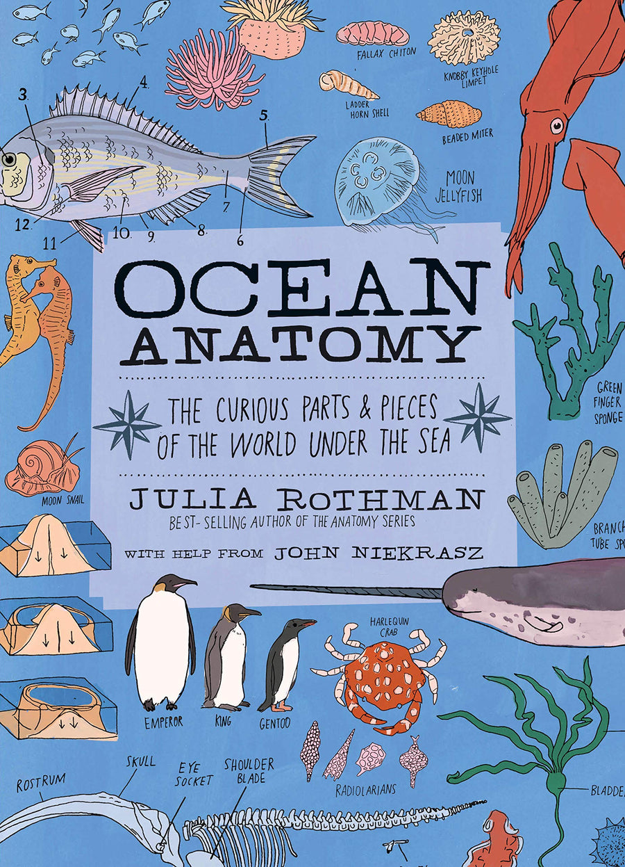 Ocean Anatomy: The Curious Parts & Pieces of the World under the Sea Children's Book Print Books Vivid Chill 