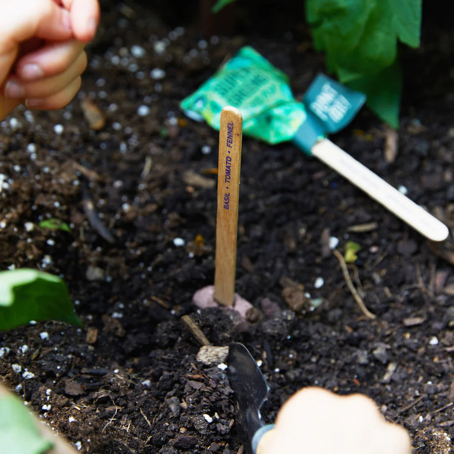 Pollinator Seed Lollipop Home Modern Sprout 