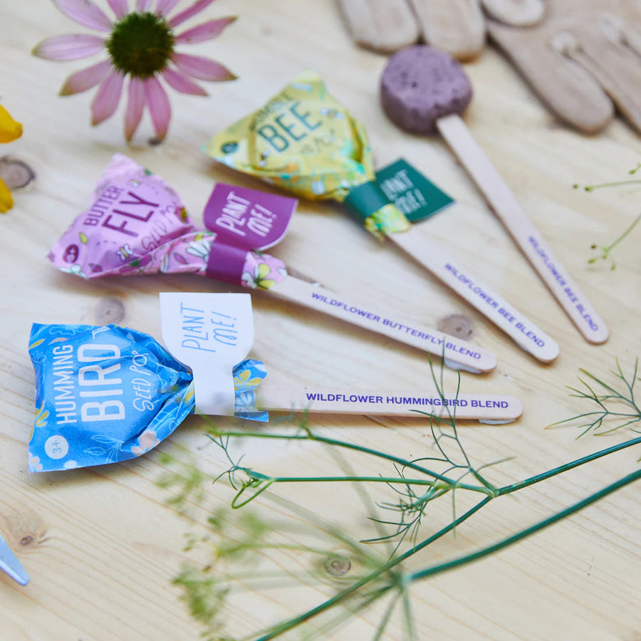 Pollinator Seed Lollipop Home Modern Sprout 