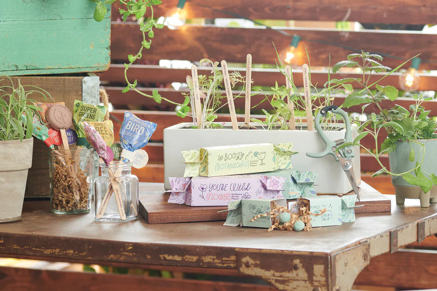 Pollinator Seed Lollipop Home Modern Sprout 