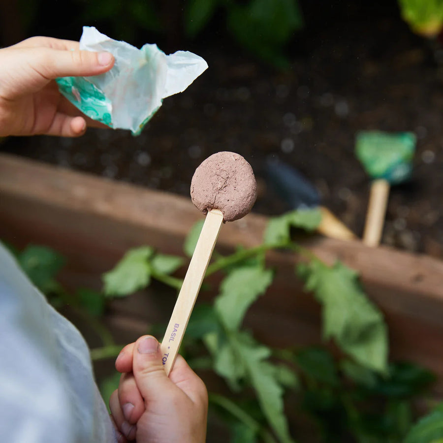 Pollinator Seed Lollipop Home Modern Sprout 