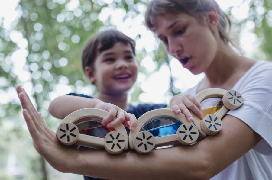 Wautomobile Mini Chill PlanToys 